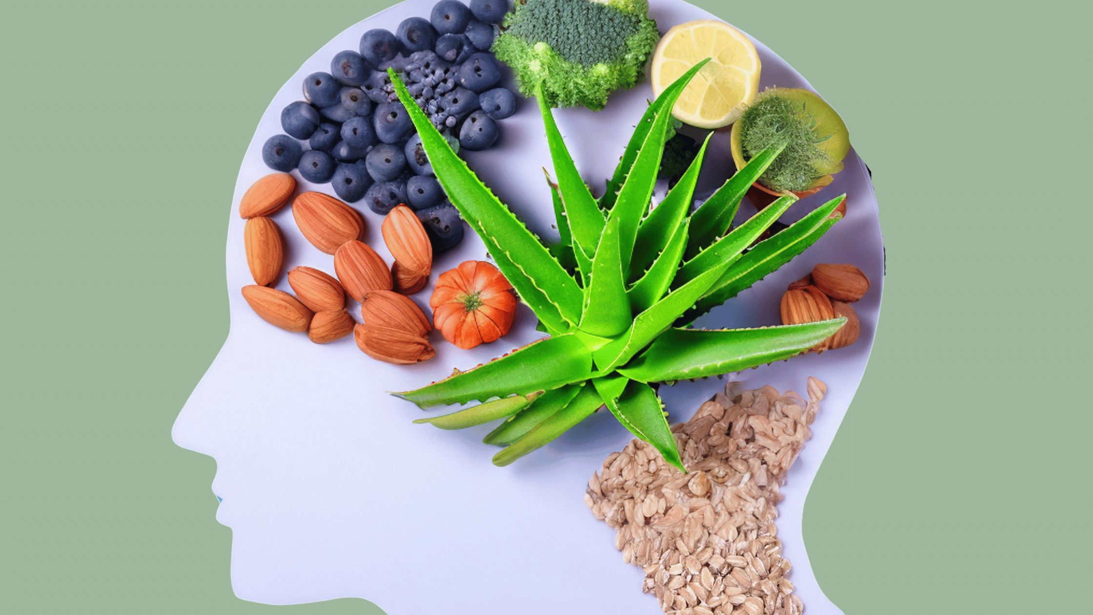 Unlocking the Cognitive Benefits of Aloe Vera: Insights from Science